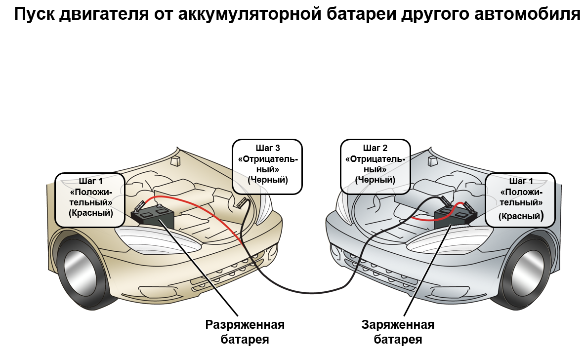 Авто Порядок Интернет Магазин